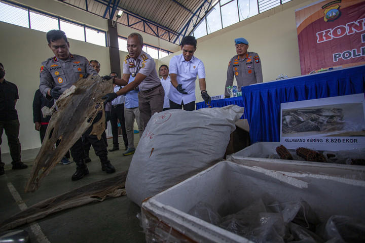 Polda Kepri Gagalkan Perdagangan Satwa Dilindungi Skala Besar
