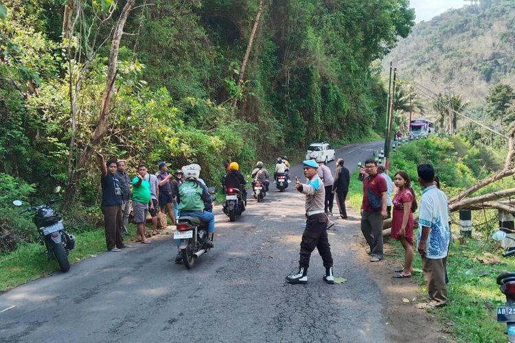 Minim Antisipasi, Pohon Tumbang Tewaskan Warga Yang Melintas