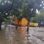 Hujan Ekstrem Lumpuhkan Jakarta, RTH Jadi Sorotan