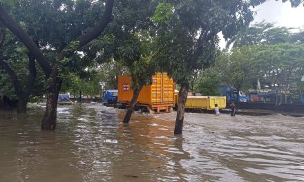 Hujan Ekstrem Lumpuhkan Jakarta, RTH Jadi Sorotan