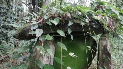 Penemuan Makam Megalitikum Kuno Di Kawasan TNKM Malinau