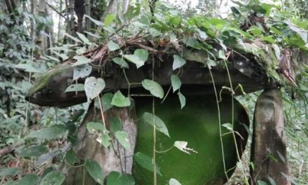 Penemuan Makam Megalitikum Kuno Di Kawasan TNKM Malinau