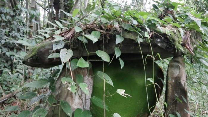 Penemuan Makam Megalitikum Kuno Di Kawasan TNKM Malinau