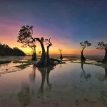 Wisatawan Mancanegara Mulai Padati Destinasi Sumba Timur