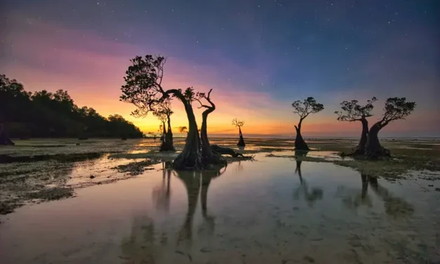 Wisatawan Mancanegara Mulai Padati Destinasi Sumba Timur