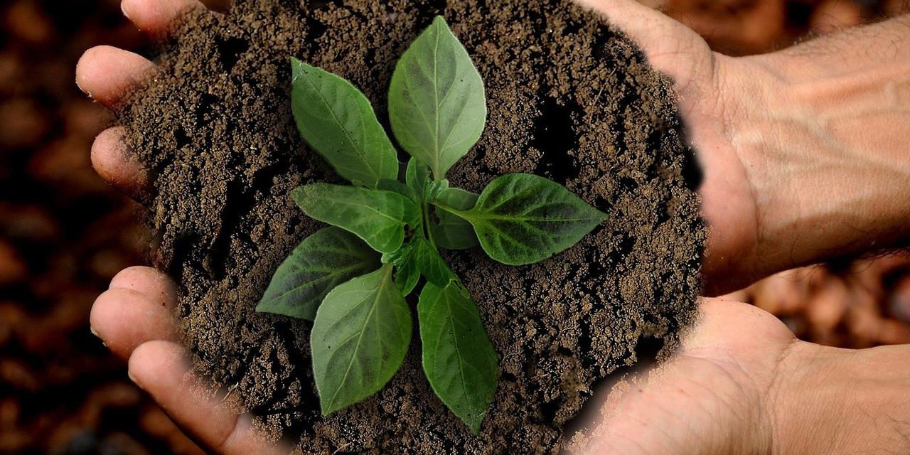 Tanah Subur Bukan Jaminan Jika Tidak Di Jaga