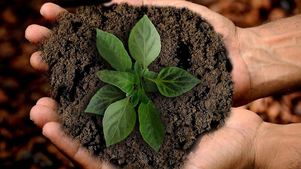 Tanah Subur Bukan Jaminan Jika Tidak Di Jaga