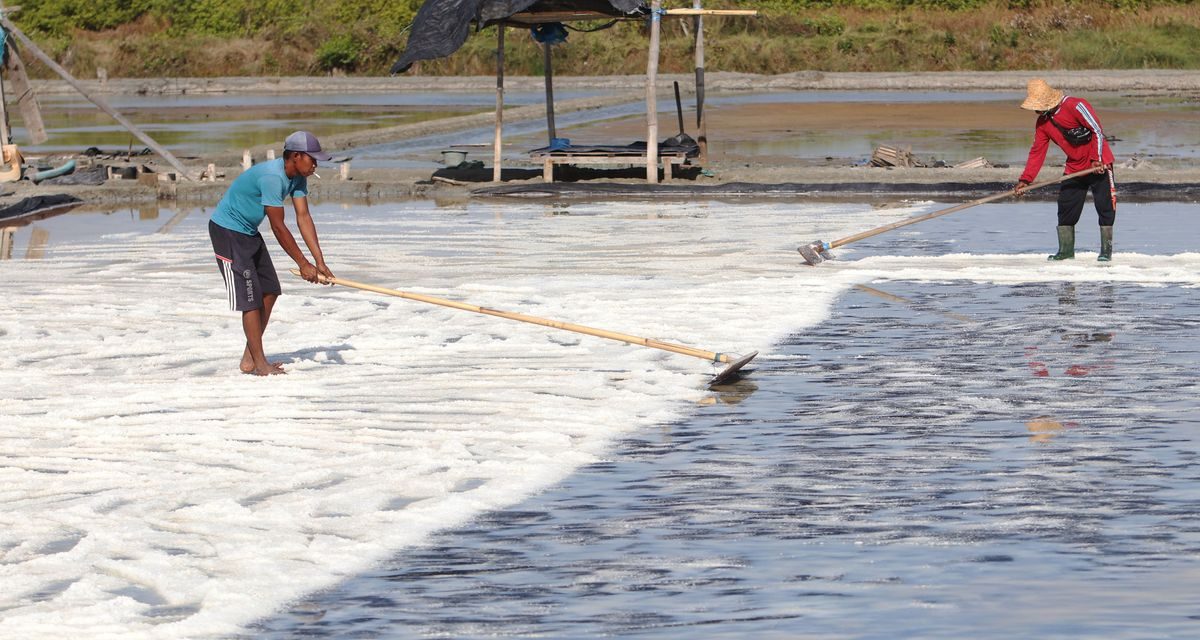 Target Swasembada Garam 2027: Ambisi Atau Sekadar Mimpi?