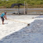 Target Swasembada Garam 2027: Ambisi Atau Sekadar Mimpi?