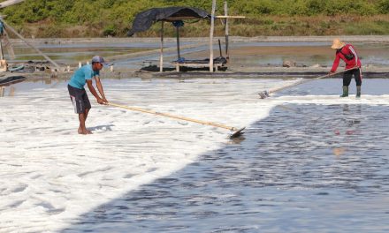 Target Swasembada Garam 2027: Ambisi Atau Sekadar Mimpi?