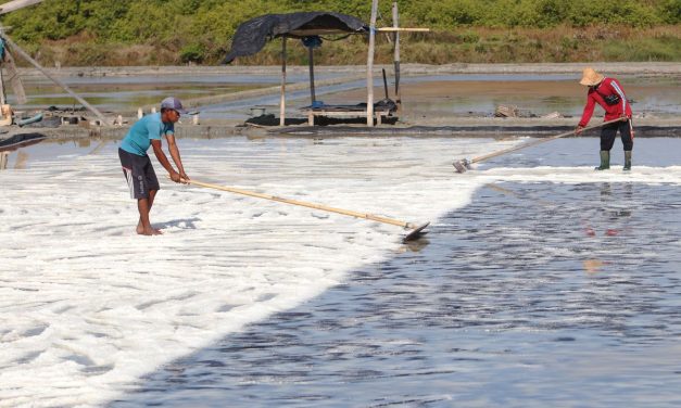 Target Swasembada Garam 2027: Ambisi Atau Sekadar Mimpi?