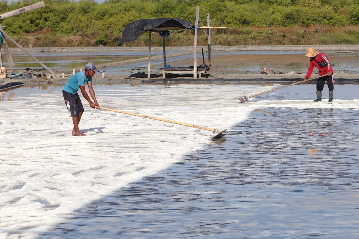 Target Swasembada Garam 2027: Ambisi Atau Sekadar Mimpi?