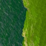 Laut Masa Depan: Intip Bocoran Plankton Purba