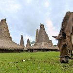 Eksplor Sumba Tanpa Ribet, Cek Harga Sewanya Di Sini