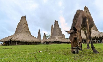 Eksplor Sumba Tanpa Ribet, Cek Harga Sewanya Di Sini