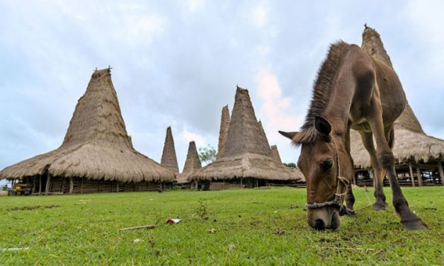 Eksplor Sumba Tanpa Ribet, Cek Harga Sewanya Di Sini