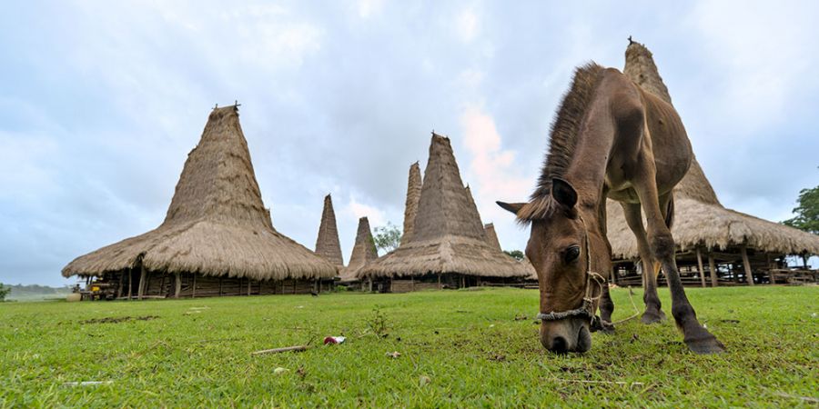Eksplor Sumba Tanpa Ribet, Cek Harga Sewanya Di Sini