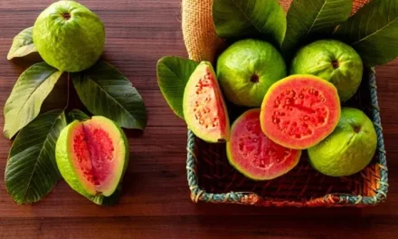 Pilihan Buah Segar Yang Bikin Pasien DBD Cepat Sembuh
