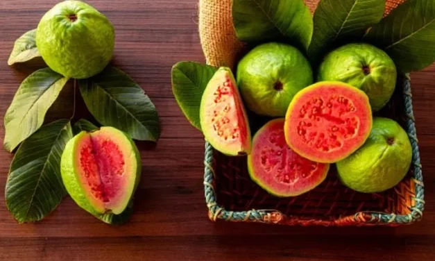 Pilihan Buah Segar Yang Bikin Pasien DBD Cepat Sembuh