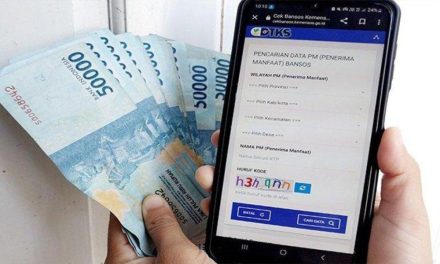 Wajib Tahu! Kenapa PKH 2025 Pakai KTP Digital
